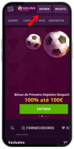 Botão Entrar no canto superior direito do site Malina Casino