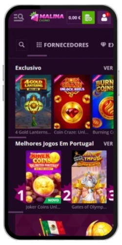 Botão Entrar para confirmar o acesso à conta no Malina Casino