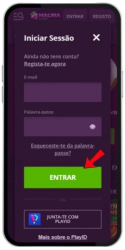 Campos de e-mail e palavra-passe no formulário de login do Malina Casino